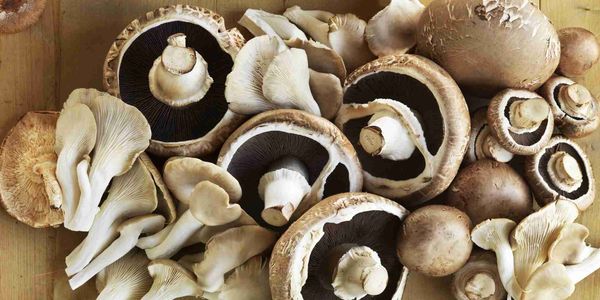Cogumelos podem causar diarréia
