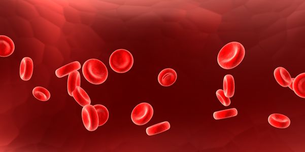 Níveis de Ferro Sanguíneo – Alto, Anormal, Baixo Ferro no Sangue