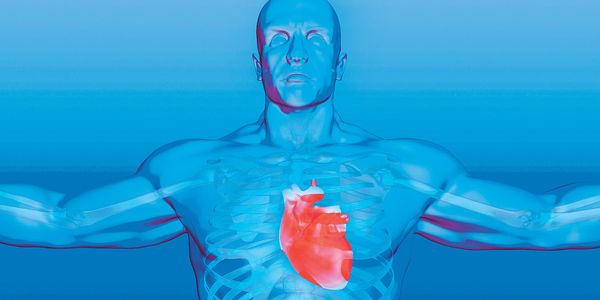 O que é doença valvular cardíaca Tipos de Doenças Cardíacas Valvulares