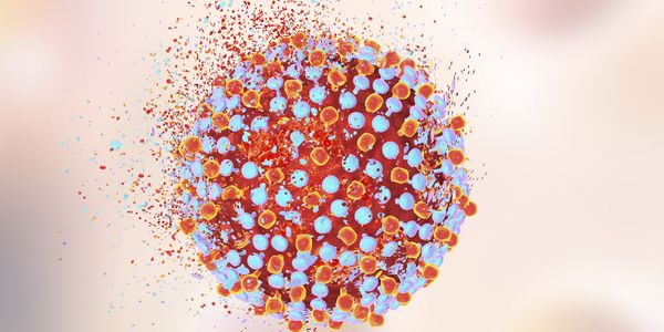 Sinais do Vírus da Hepatite C (HCV) e Motivo da Morte