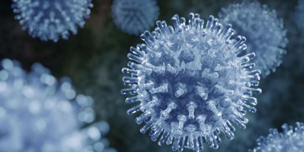 Tipos de Influenza (Gripe) que Afetam Humanos