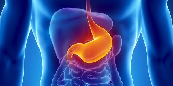 análise de fezes e trabalho de sangue resulta em distúrbios gastrointestinais