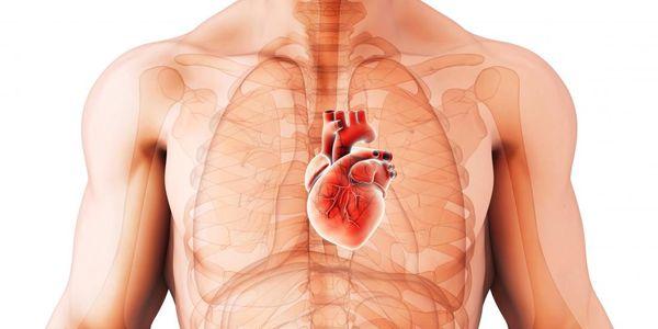 coração murmura tipos de sons cardíacos anormais causa sintomas