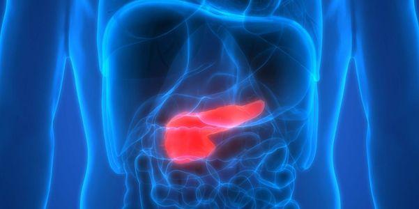 câncer de pâncreas localização tipos sintomas tratamento sobrevivência