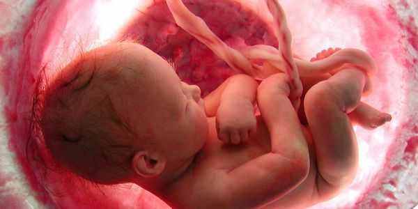 células-tronco do bebê sangue do cordão umbilical prós e contras