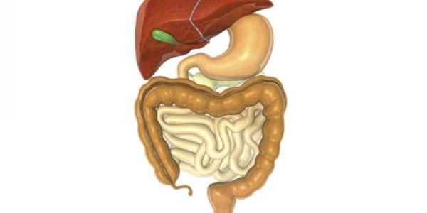 diarréia branca relacionada com a vesícula biliar