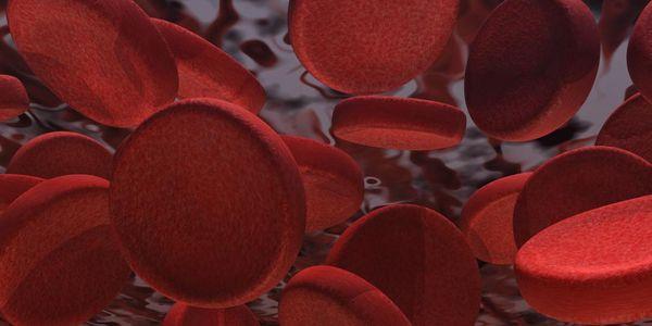 macrocitose aumentada glóbulos vermelhos
